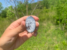 Charger l'image dans la galerie, VENDU Agate dendritique 29