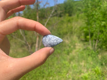 Charger l'image dans la galerie, VENDU Agate dendritique 31