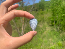 Charger l'image dans la galerie, VENDU Agate dendritique 31