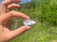 Charger l'image dans la galerie, VENDU Agate dendritique 32