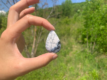 Charger l'image dans la galerie, VENDU Agate dendritique 33