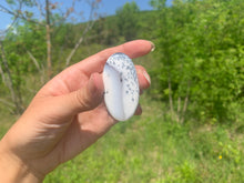 Charger l'image dans la galerie, VENDU Agate dendritique 34