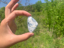 Charger l'image dans la galerie, VENDU Agate dendritique 17