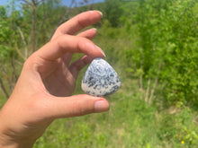 Charger l'image dans la galerie, VENDU Agate dendritique 19