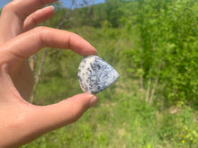 Charger l'image dans la galerie, VENDU Agate dendritique 19