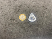 Charger l'image dans la galerie, VENDU Agate dendritique 5