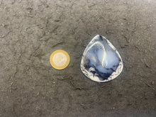 Charger l'image dans la galerie, VENDU Agate dendritique 12
