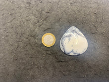 Charger l'image dans la galerie, VENDU Agate dendritique 13