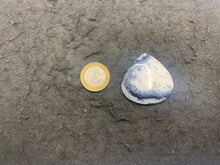 Charger l'image dans la galerie, VENDU Agate dendritique 15