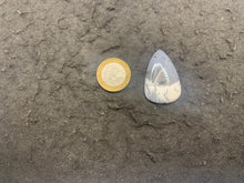 Charger l'image dans la galerie, VENDU Agate dendritique 26