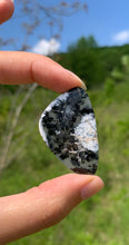 Charger l'image dans la galerie, VENDU Agate dendritique 2