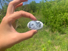 Charger l'image dans la galerie, VENDU Agate dendritique 4