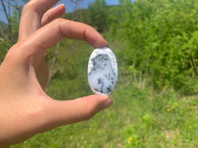 Charger l'image dans la galerie, VENDU Agate dendritique 4