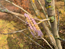 Charger l'image dans la galerie, Mala "Un vent de liberté"