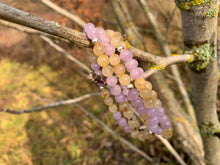 Charger l'image dans la galerie, Mala "Un vent de liberté"