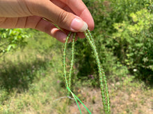 Charger l'image dans la galerie, Perles en péridot entre 2 et 5mm