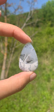 Charger l'image dans la galerie, VENDU Agate dendritique 26