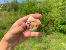 Charger l'image dans la galerie, Jaspe mookaite 7