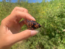 Charger l'image dans la galerie, VENDU Obsidienne Peanut 2