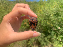 Charger l'image dans la galerie, VENDU Obsidienne Peanut 2