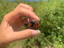 Charger l'image dans la galerie, VENDU Obsidienne Peanut 2