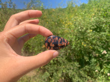 Charger l'image dans la galerie, VENDU Obsidienne Peanut 3