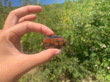 Charger l'image dans la galerie, Obsidienne Peanut 4