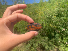 Charger l'image dans la galerie, Obsidienne Peanut 4