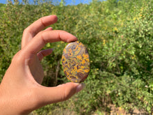 Charger l'image dans la galerie, Jaspe pistache 1