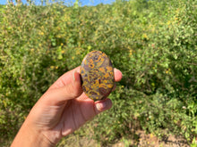 Charger l'image dans la galerie, Jaspe pistache 1