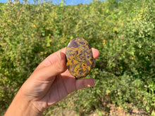 Charger l'image dans la galerie, Jaspe pistache 1