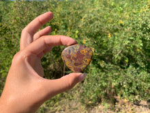 Charger l'image dans la galerie, Jaspe pistache 6