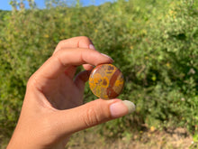 Charger l'image dans la galerie, Jaspe pistache 11