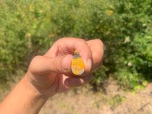 Charger l'image dans la galerie, VENDU Jaspe Bumblebee 20