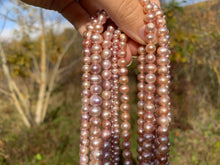 Charger l'image dans la galerie, Perles de culture rose / violette entre 3 et 8mm