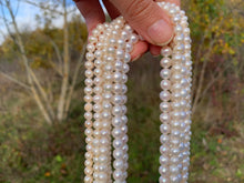 Charger l'image dans la galerie, Perles de culture blanche entre 5 et 8mm