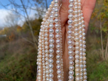Charger l'image dans la galerie, Perles de culture blanche entre 5 et 8mm
