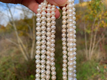 Charger l'image dans la galerie, Perles de culture blanche entre 5 et 8mm