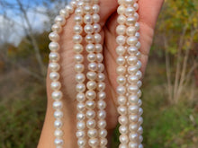 Charger l'image dans la galerie, Perles de culture blanche entre 5 et 8mm