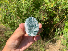 Charger l'image dans la galerie, VENDU Agate Arbre 1