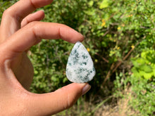 Charger l'image dans la galerie, VENDU Agate Arbre 2