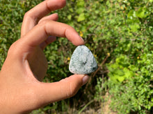 Charger l'image dans la galerie, VENDU Agate Arbre 4