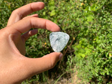 Charger l'image dans la galerie, VENDU Agate Arbre 4