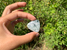 Charger l'image dans la galerie, VENDU Agate Arbre 4