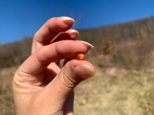 Charger l'image dans la galerie, Perles en pierre de soleil non percées