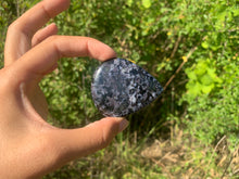 Charger l'image dans la galerie, Gabbro 1