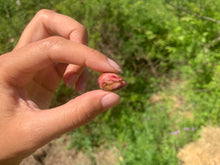 Charger l'image dans la galerie, VENDU Jaspe mookaite 31