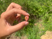 Charger l'image dans la galerie, VENDU Jaspe mookaite 31