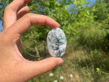 Charger l'image dans la galerie, VENDU Agate Arbre 5