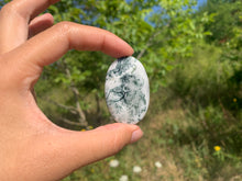 Charger l'image dans la galerie, VENDU Agate Arbre 5